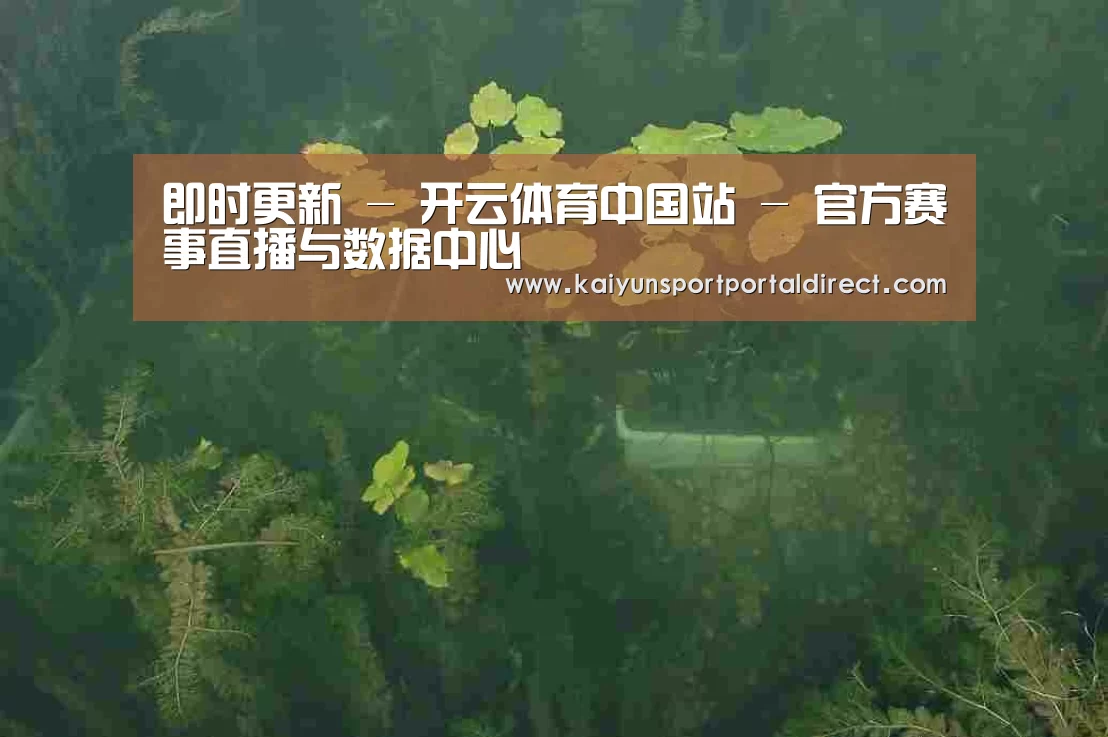 案例展示三