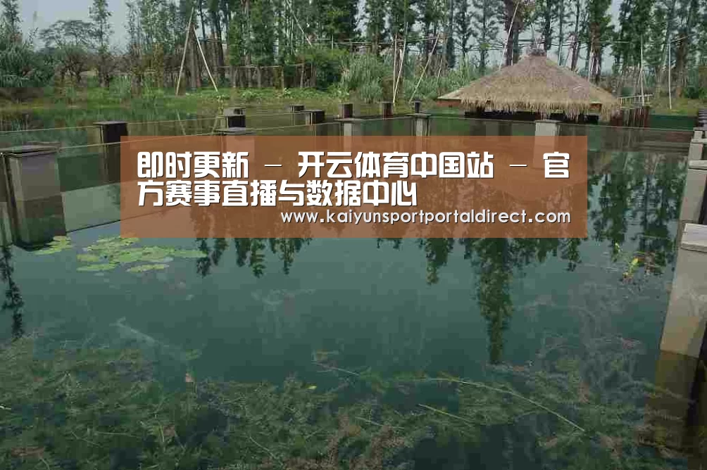案例展示二