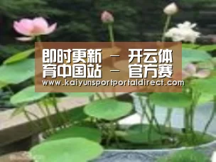 产品名称一