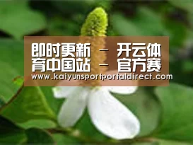 产品名称三
