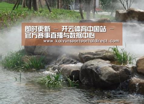案例展示五