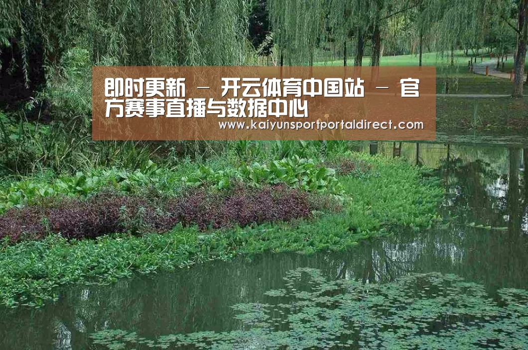 案例展示一