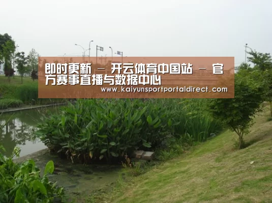 案例展示四